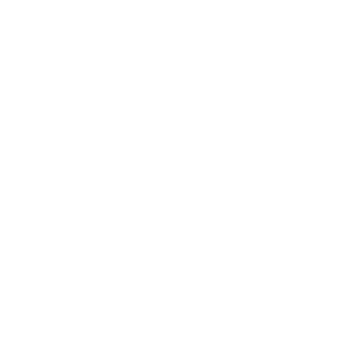 Ikon - rengjøringskost