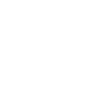 Ikon - nedvasket hus